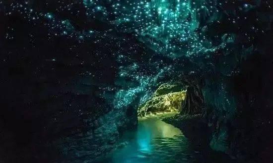 旅途/风之旅人