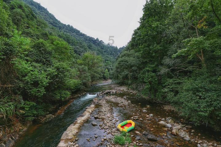 埃及神庙找不同